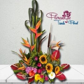 Arreglo Tradicional 112