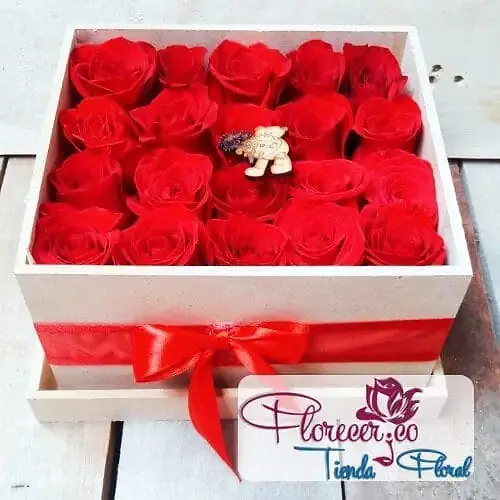 Florecer