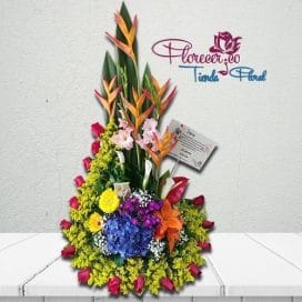 Arreglo Tradicional 116