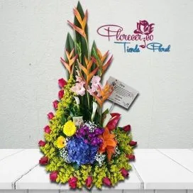 Arreglo Tradicional 116