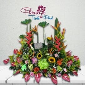 Arreglo Tradicional 125