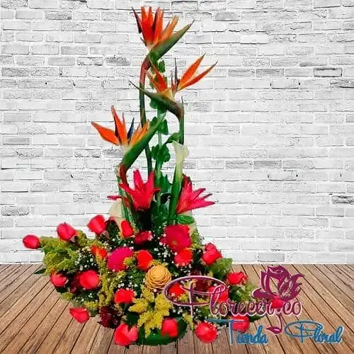 Tradicional12