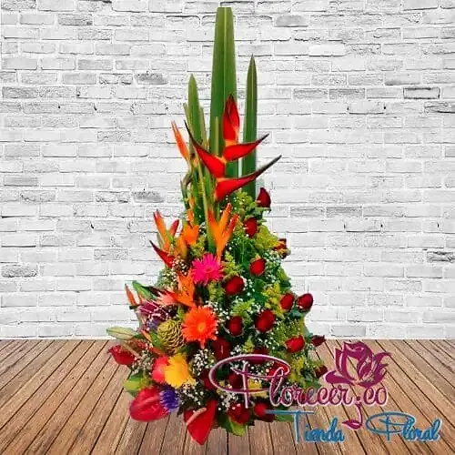 Tradicional14