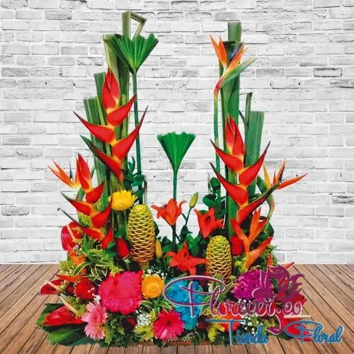 Tradicional16