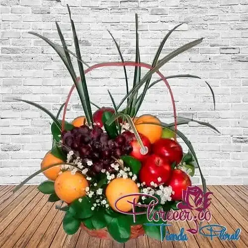 Tradicional22