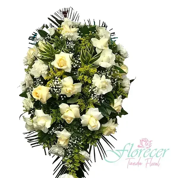 Fúnebre Pedestal 11