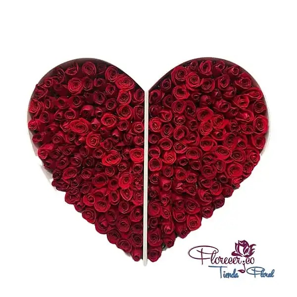 Caja Grande de Rosas