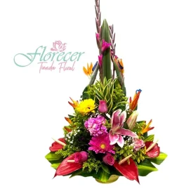 Arreglo Tradicional Mediano 111